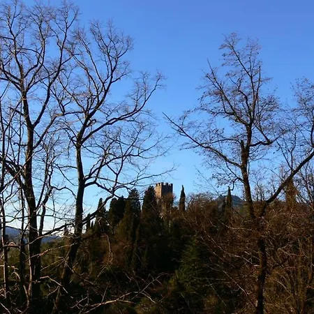 Luci Sul - A Real Paradise * Perledo